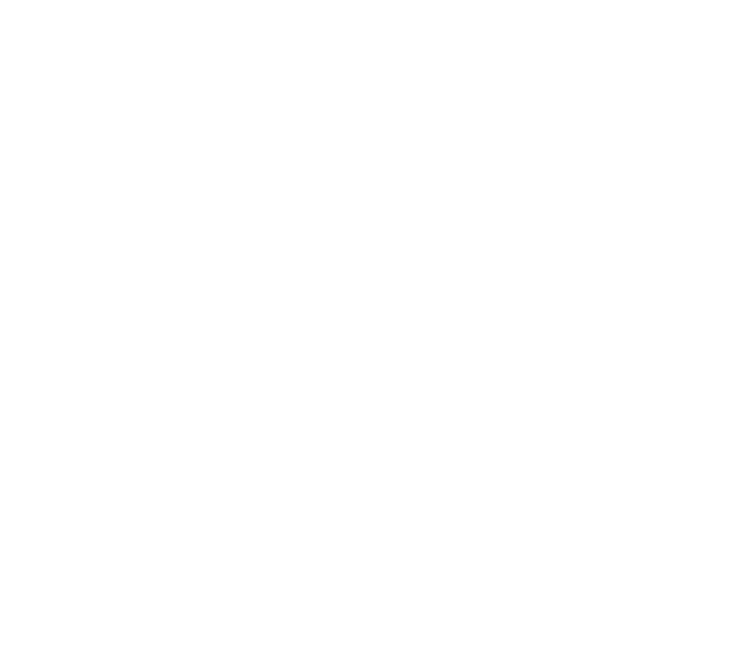 Sustainable Summer Logo white