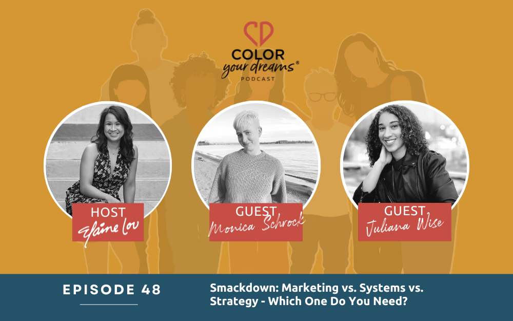 48: Smackdown: Marketing vs. Systems vs. Strategy – Which One Do You Need? with Monica Schrock and Juliana Wise